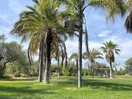 Gartenblick