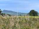 View from our pitch