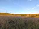 View from lake