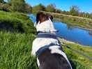 Theo enjoying the river view