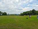 Spacious field