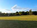 Pitch