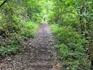 Walk to arnside