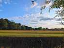 The view across the field next to where we pitched the tent.