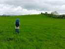 Alone in the wilderness