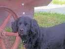 Barkley loved the freedom