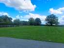 View of the grass pitches from our caravan