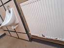 Cockroaches running around in the grim toilets.