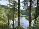 View from lakeside path