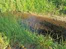 The little stream