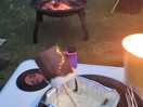 Fire pit and wood available to purchase onsite.