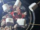 Toasting marshmellows