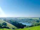 Noss mayo
