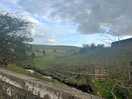 View on the 1 decent walk i managed, after scaling a barbed wire fence with no injuries thankfully
