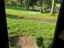 Glamping view from doors