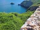 Berry head national nature reserve