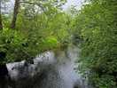 River 3