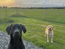 Sunset nearly