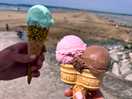Must have hockings at woolacoombe beach