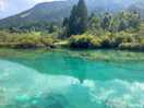 Die quelle der sava
