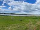 View to the river severn