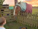 The horses came to say hello