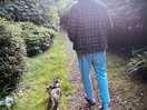 Dog/cat walk