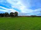 What a lovely peaceful place