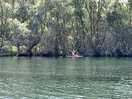 Paddleboard ride