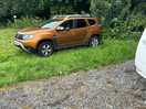 Over grown grass and weeds above car