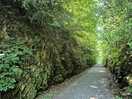 Cool and pleasant stroll on a hot day