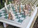Chess in the woods!