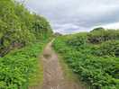 A break from busy life on your doorstep