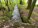 Beautiful wilderness, ideal for hiking or camping