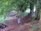 Woods for children to play and explore.