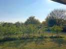 Areas of new planting