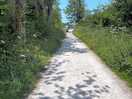Tissington trail which you can access via a gate directly from the site.