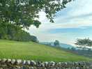 Campsite pitch view across rolling fields