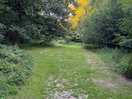 Woodlands