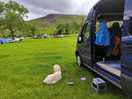 View from the van