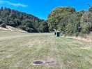 View uphill to extensive open space