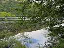 Local scenery