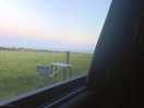 View from van