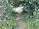 Steep access to river