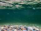 Under the sea