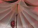 Ceiling cover that can be released so the sky can be seen from the bed.