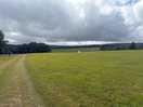 The view