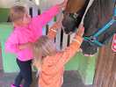 Warm, friendly horses. you can ride on them. give grass. in the morning in the evening.