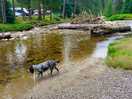West highland way