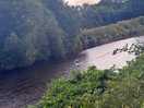 Lovely walk along the river with the dog